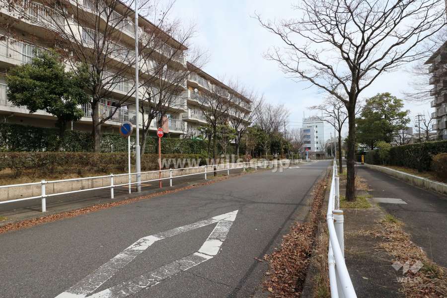 敷地北側の前面道路（西側から）