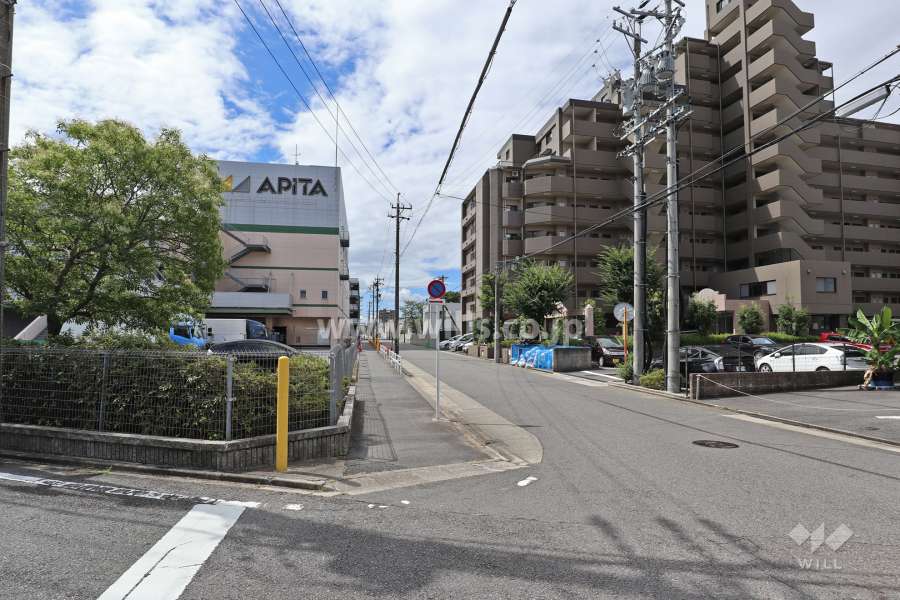 敷地東側の前面道路(北側から)