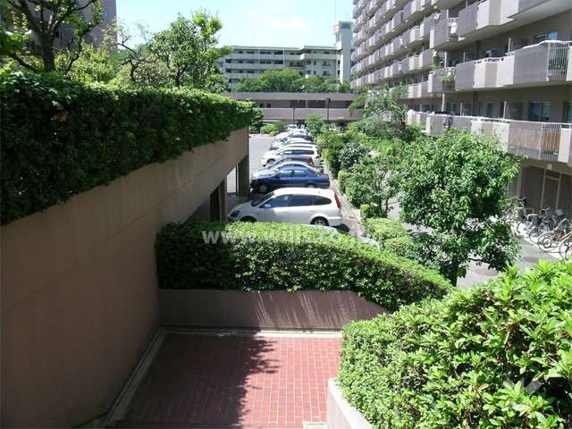D棟の南側の駐車場
