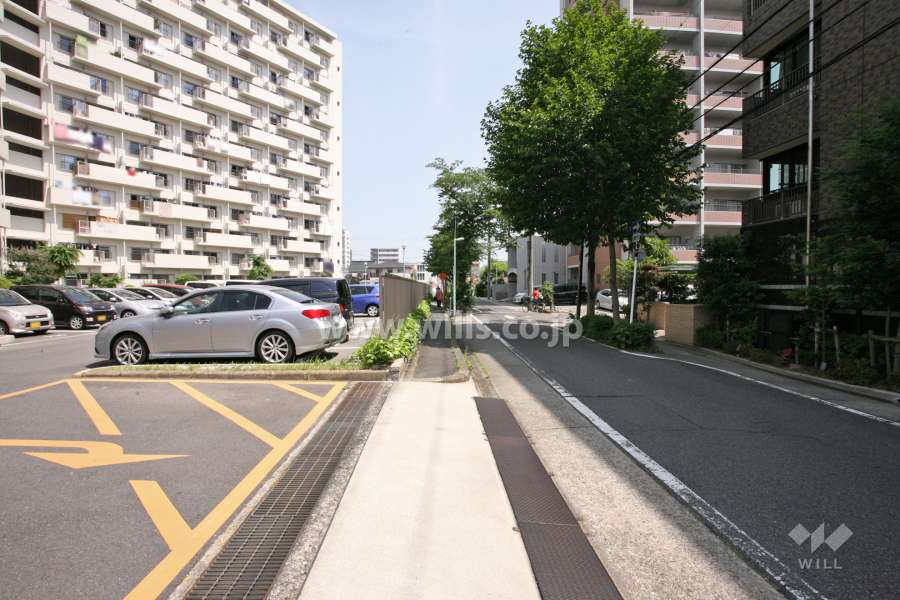 敷地東側の前面道路