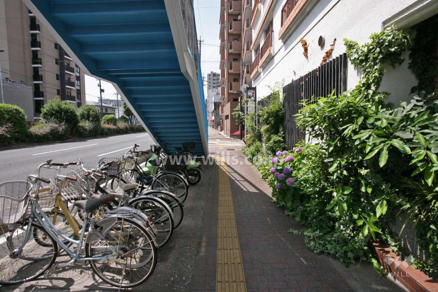 敷地東側の前面道路(北側から)