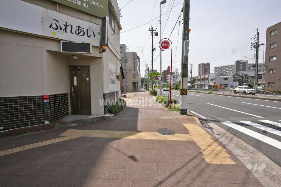 敷地西側の前面道路(大津通)