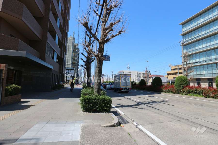 敷地北側の前面道路