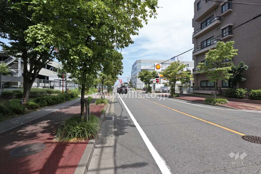 敷地西側の前面道路（南側から）
