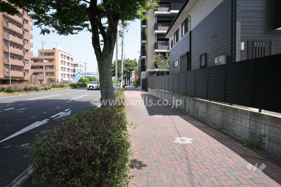 敷地西側の前面道路