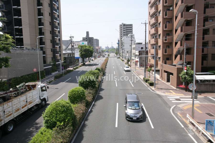 敷地西側の前面道路（遠景）