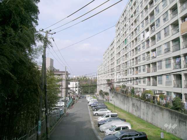 南千里第２コーポラス全体。周辺はたいへん緑豊かです。