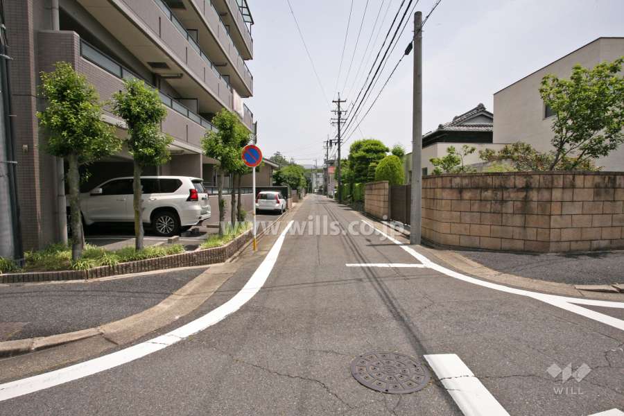 敷地南側の前面道路(西側から)