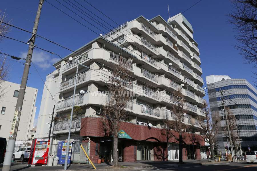 ネオハイツ平安の外観（南西側から）