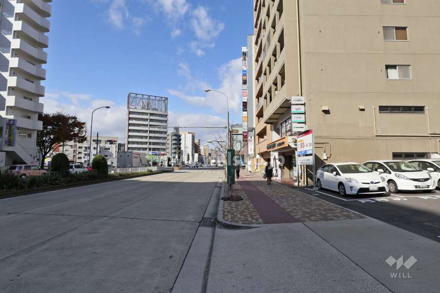 敷地南西側の前面道路（南東側から）