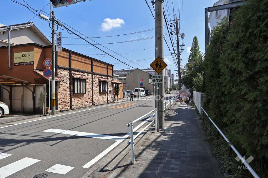 敷地東側の前面道路(北側から)