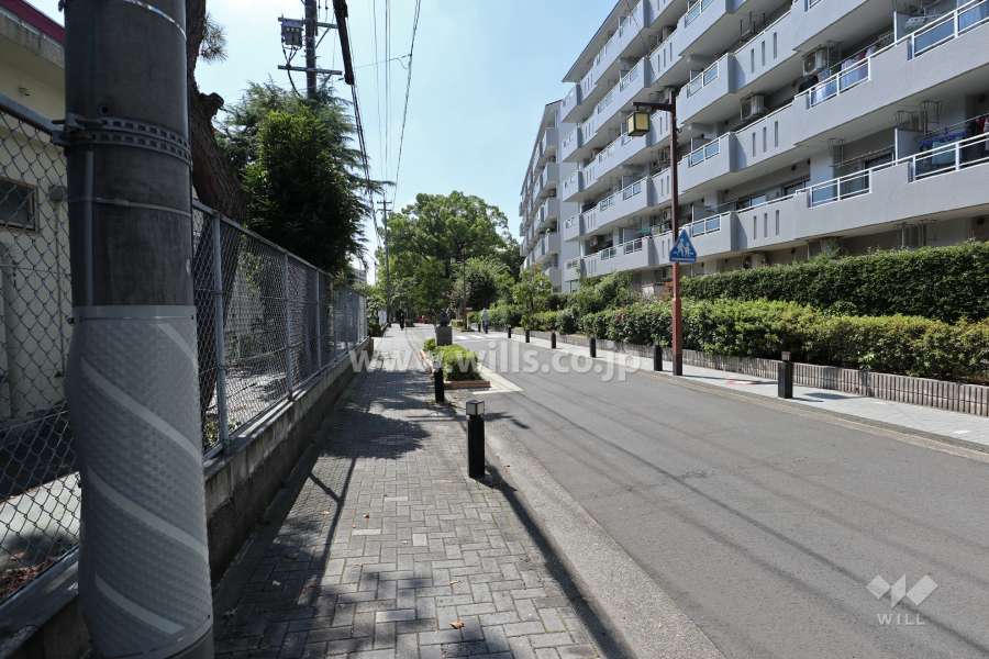 敷地南側の前面道路(東側から)