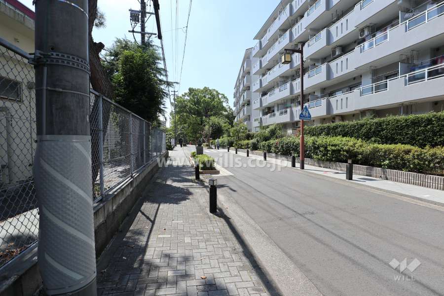 敷地南側の前面道路
