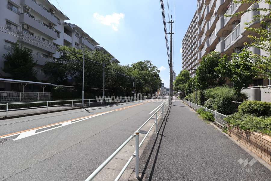敷地北側の前面道路