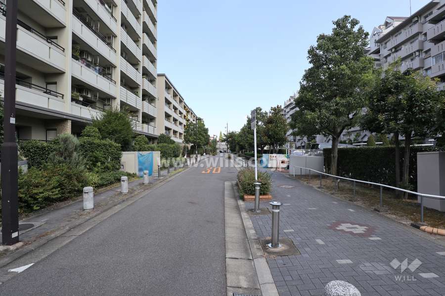 敷地北側の前面道路