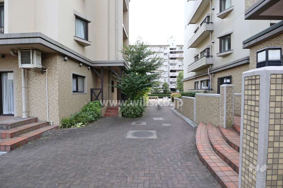 敷地西側の通路