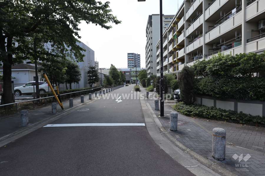 敷地南側の前面道路