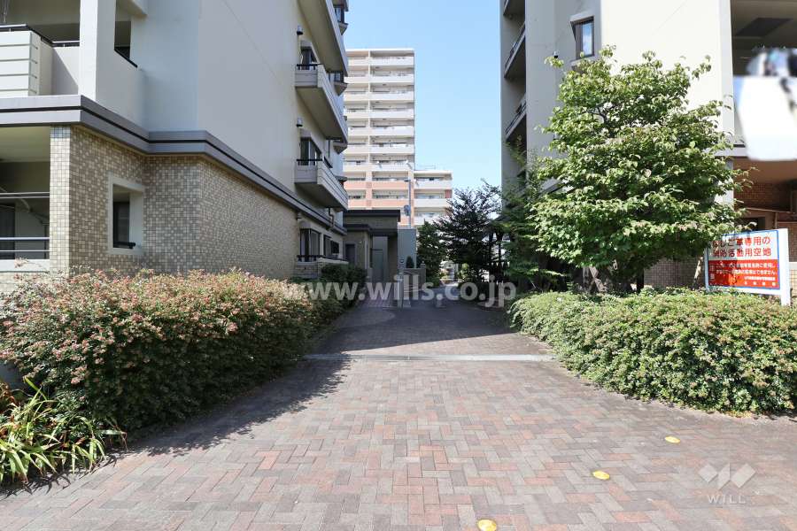 敷地東側の通路