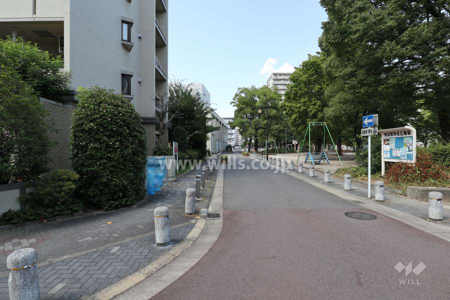 敷地東側の前面道路