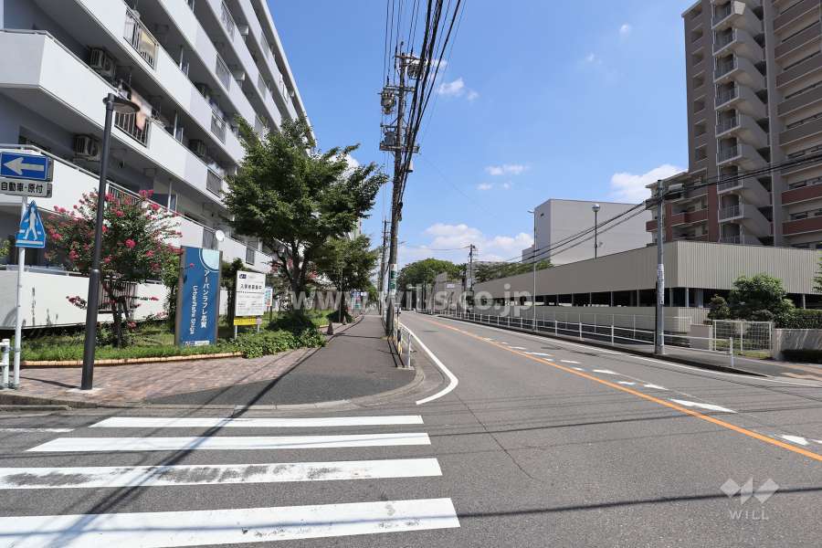 敷地北側の前面道路