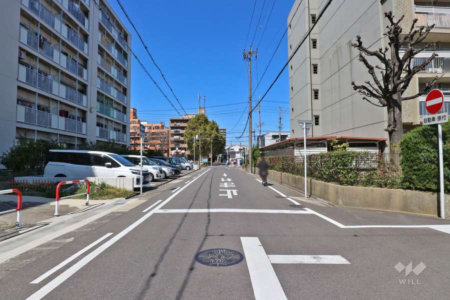 敷地西側の前面道路（南側から）