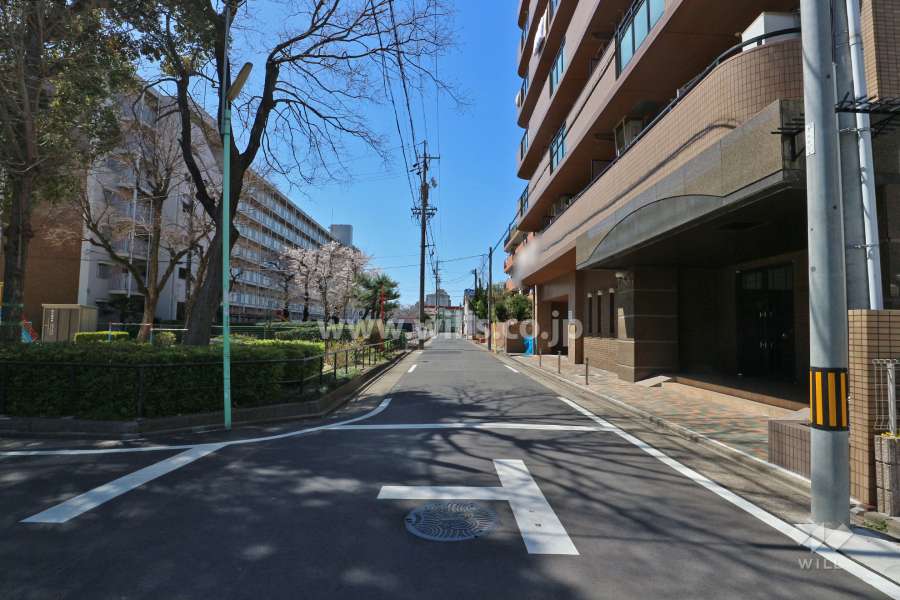 敷地南側の前面道路（東側から）