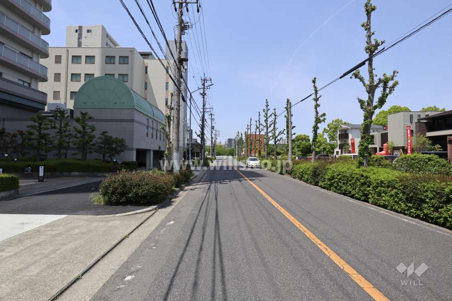 敷地北側の前面道路