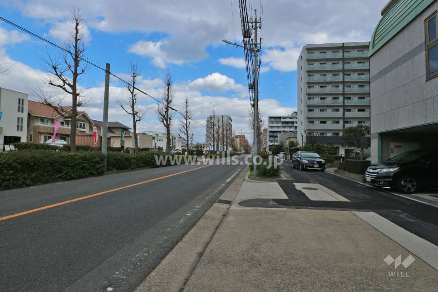 敷地北側の前面道路（西側から）