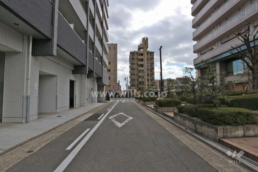敷地東側の前面道路（北側から）