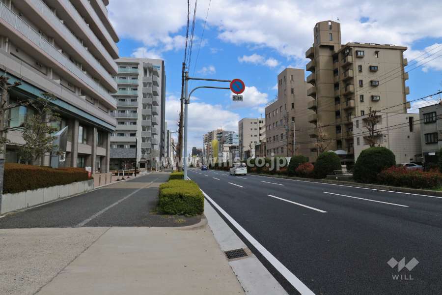 敷地南側の前面道路（西側から）