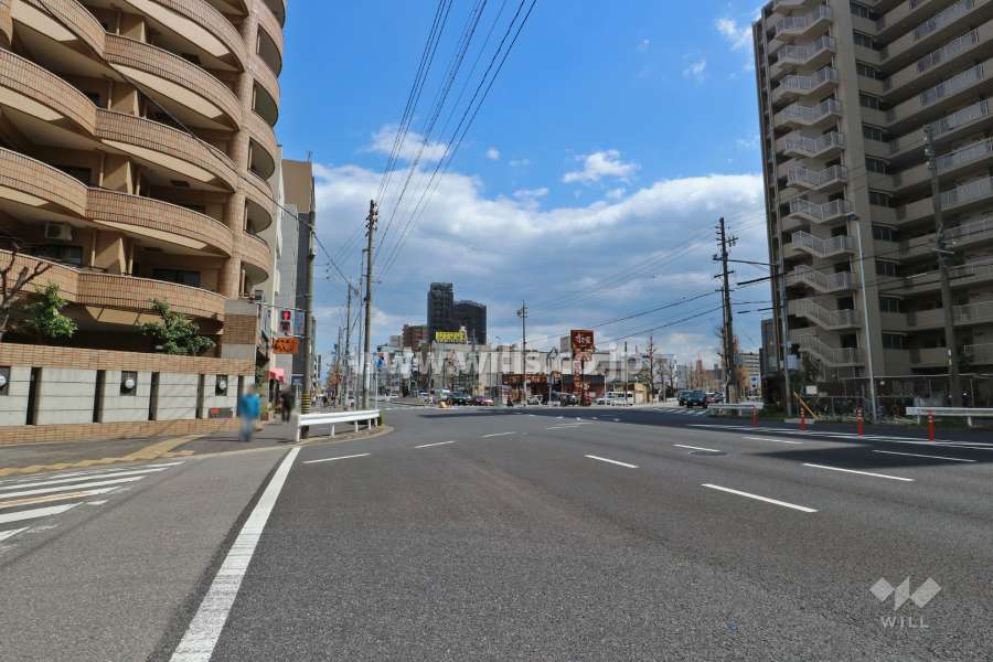 敷地南側の前面道路（西側から）