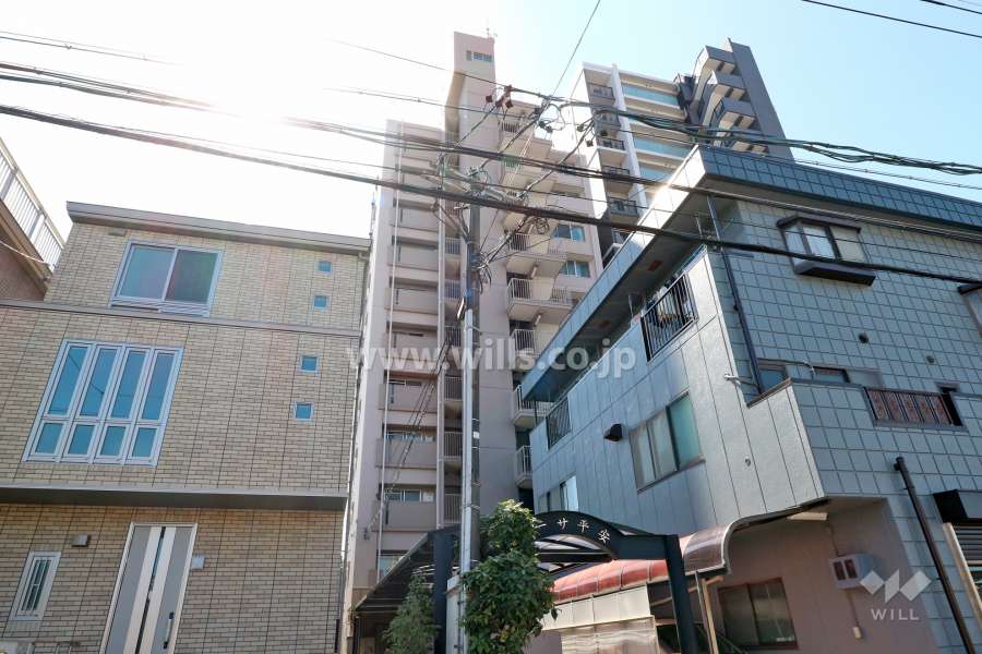 カーサ平安の外観（北東側から)