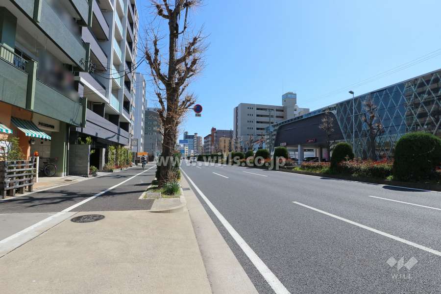 敷地南側の前面道路