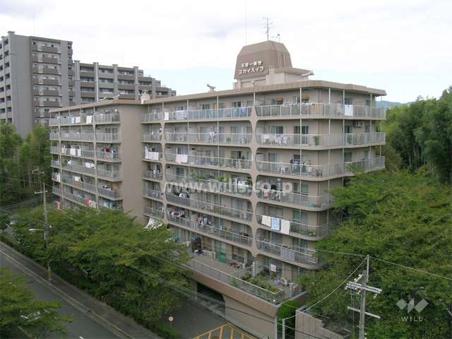 千里一条池スカイハイツD棟の外観（南東側から）