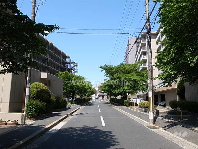 D棟の南側の前面道路