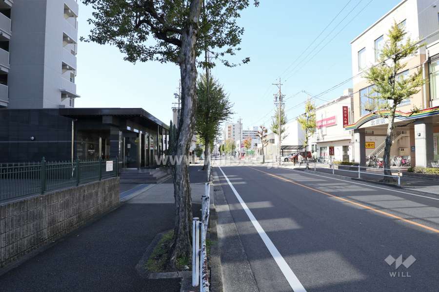 敷地北側の前面道路