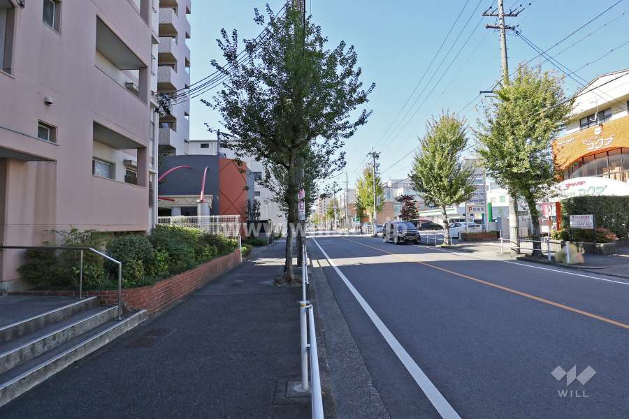 敷地の北側の前面道路