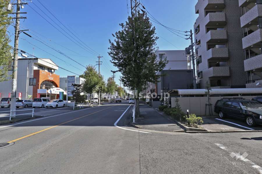 敷地の北側の前面道路