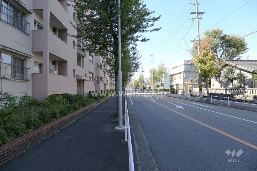 敷地北側の前面道路