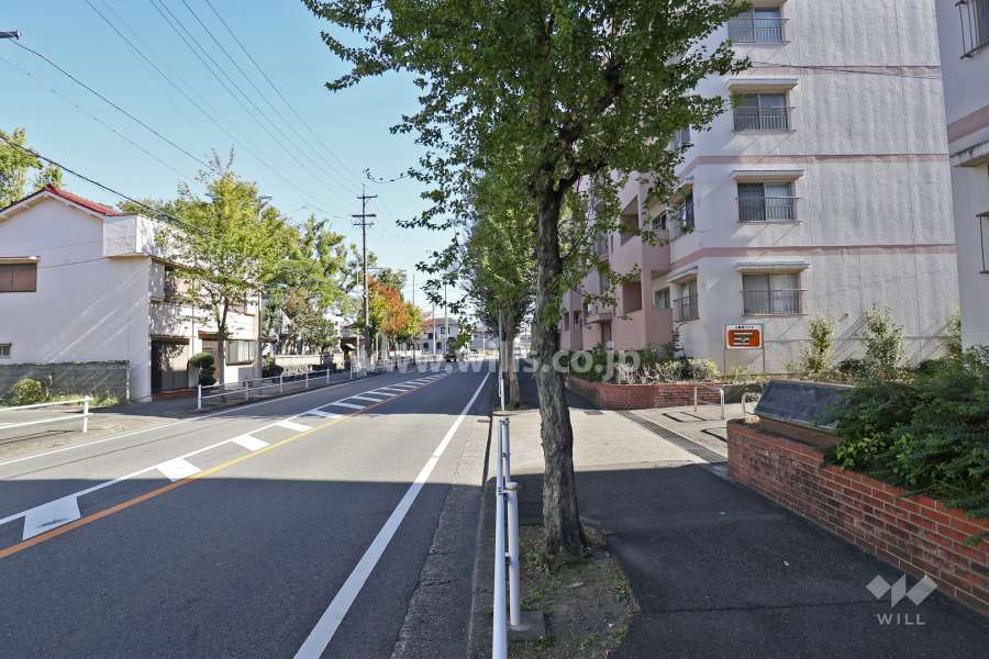 敷地北側の前面道路