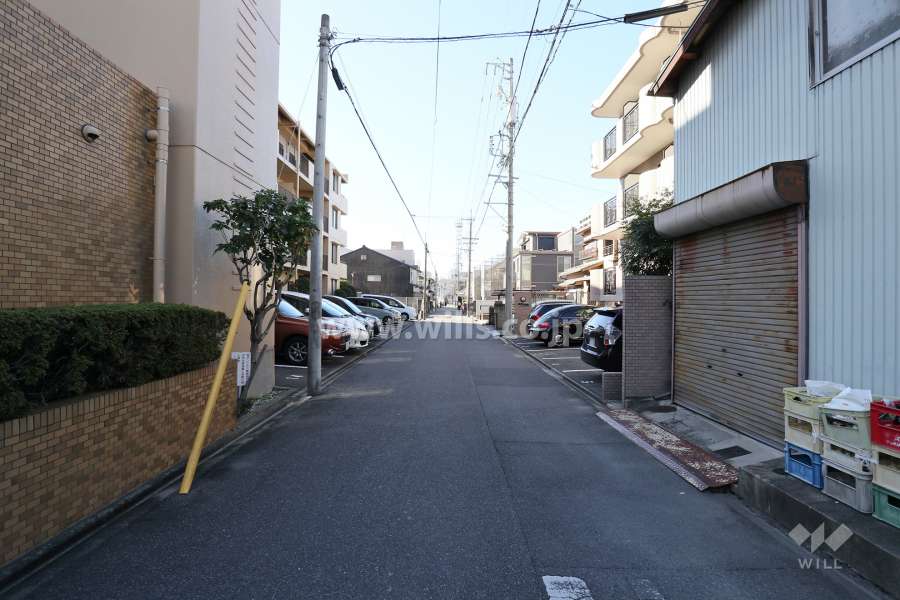 敷地北側の前面道路