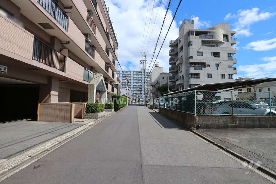 敷地南側の前面道路