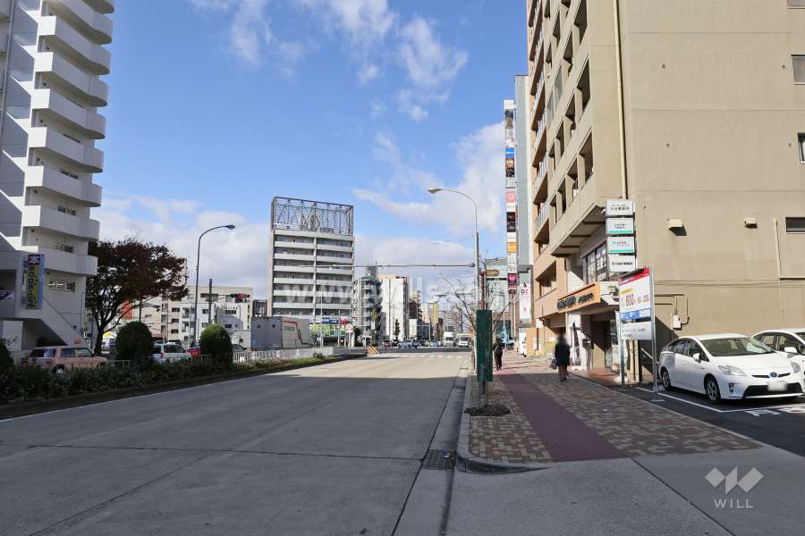 敷地南西側の前面道路（南東側から)
