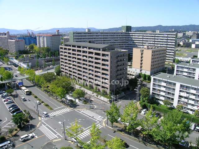 周辺はマンションが多く建ち並ぶ住宅地