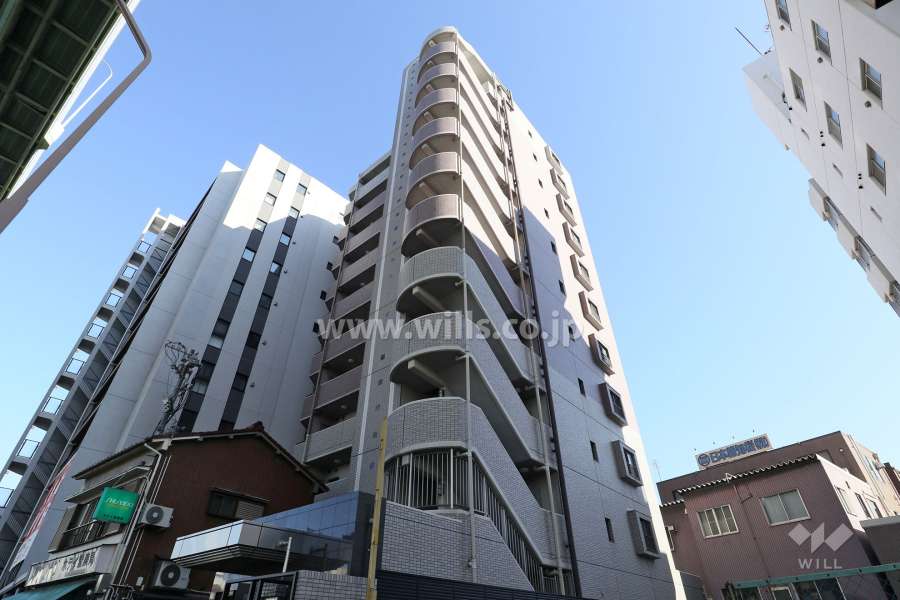 ラドーニ清水の外観（南西側から）
