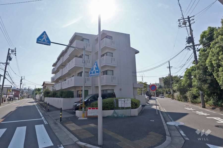 ルミエール城北の外観（北東側から）