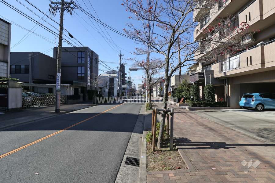 敷地南側の前面道路