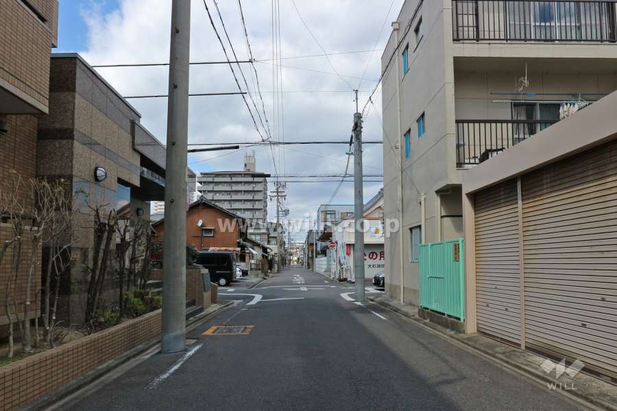 敷地東側の前面道路（南側から）