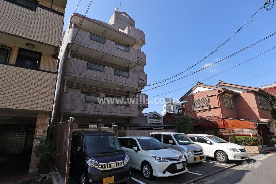 シャトー川中の外観（北東側から）