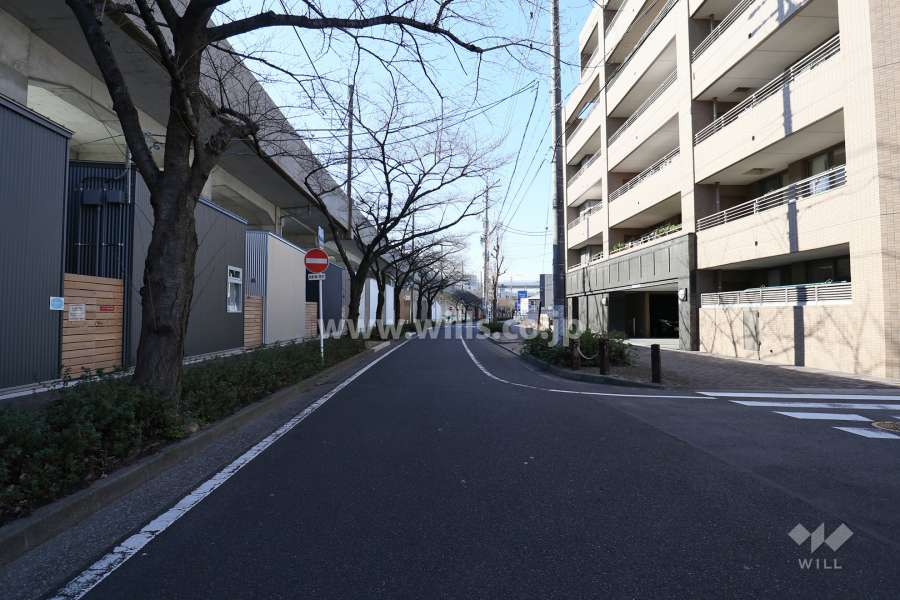 敷地南東側の前面道路